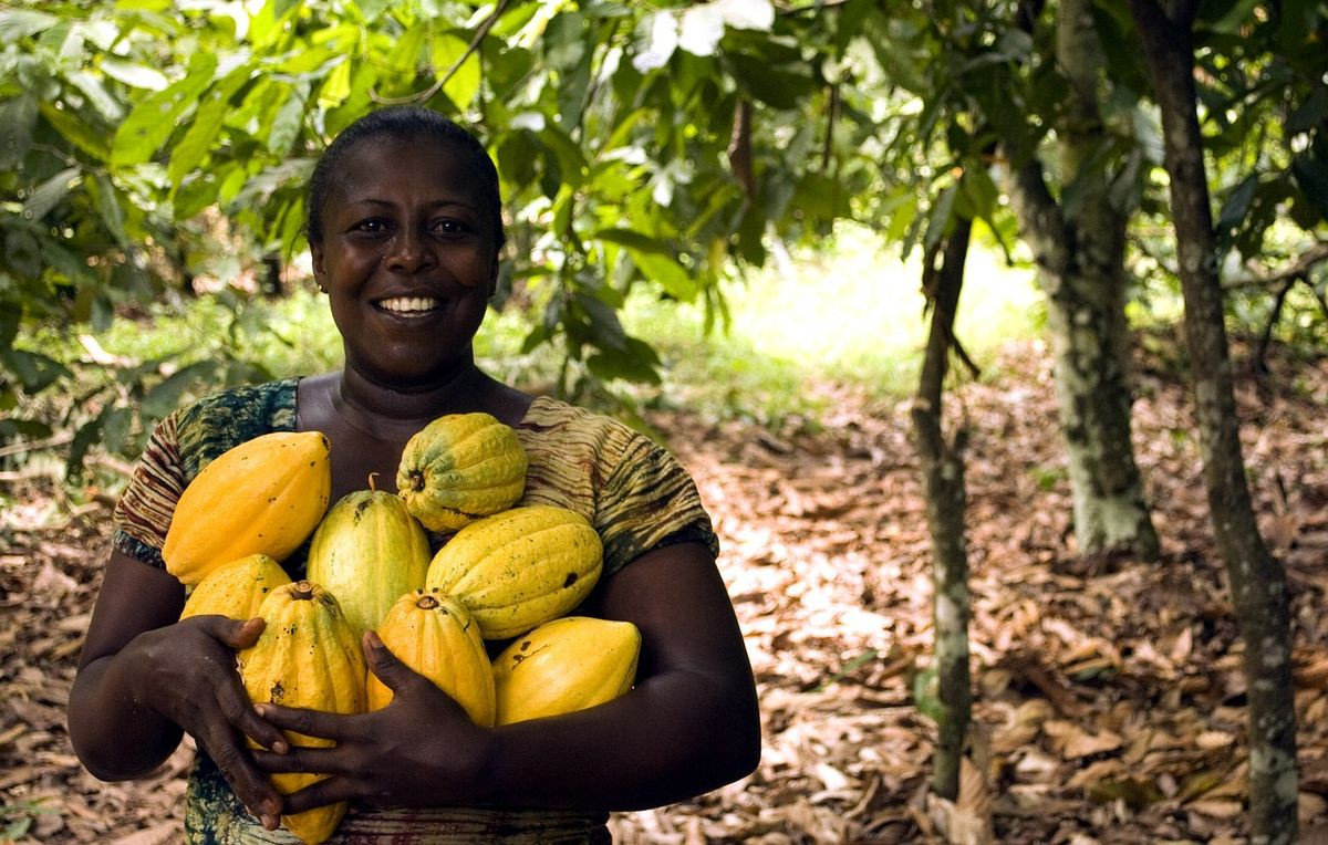 Course Image Economia de Desenvolvimento