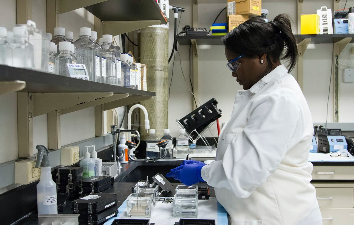 Course Image EPIDEMIOLOGIA