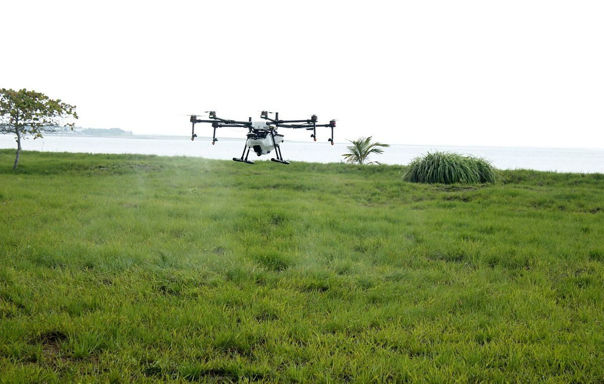 Course Image Inovação de Tecnologias Agrárias