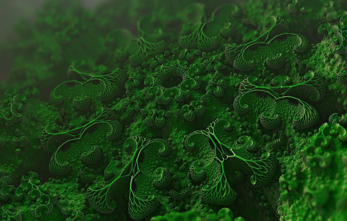 Course Image Microbiologia 