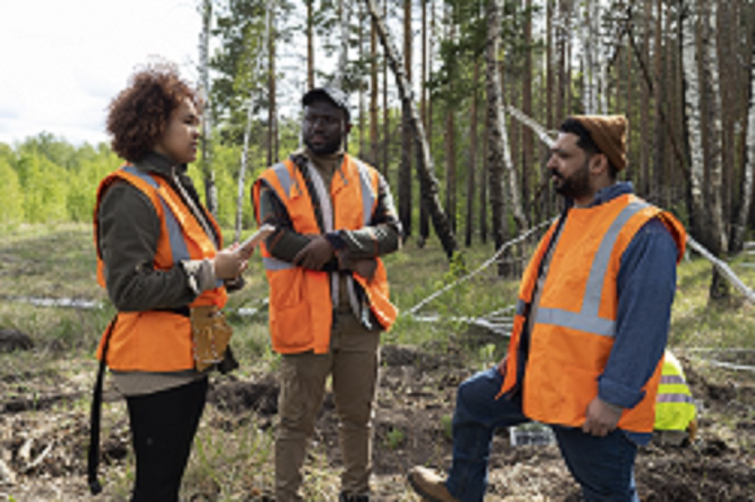 Course Image Projectos de Desenvolvimento e Avaliação de Impactos Ambientais 