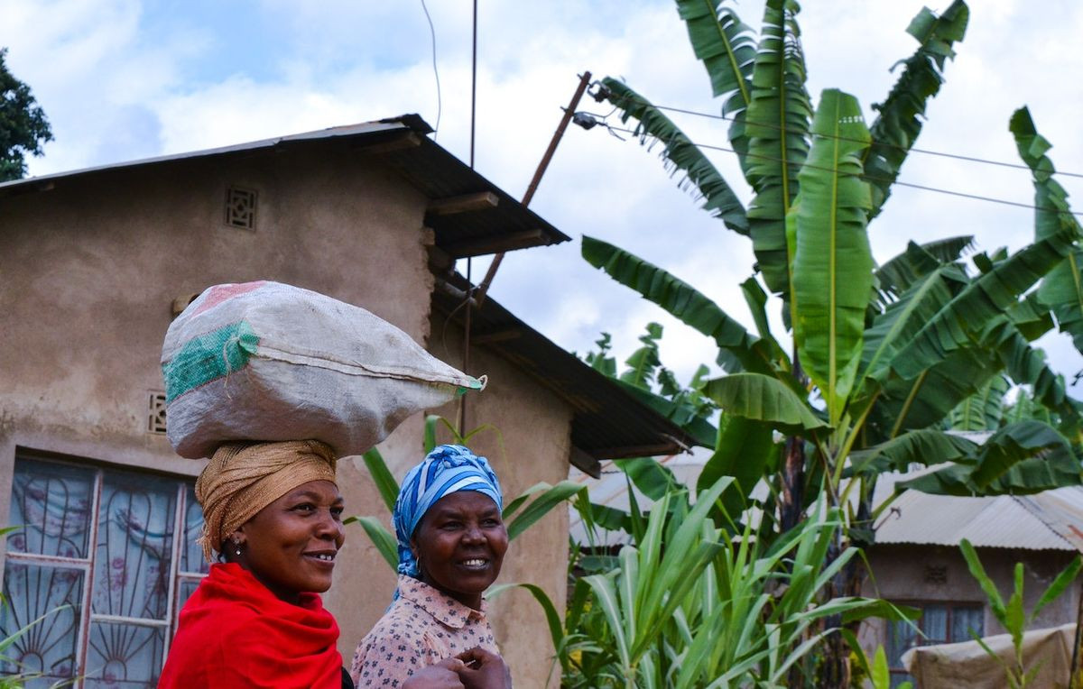 Course Image Antropologia Cultural 