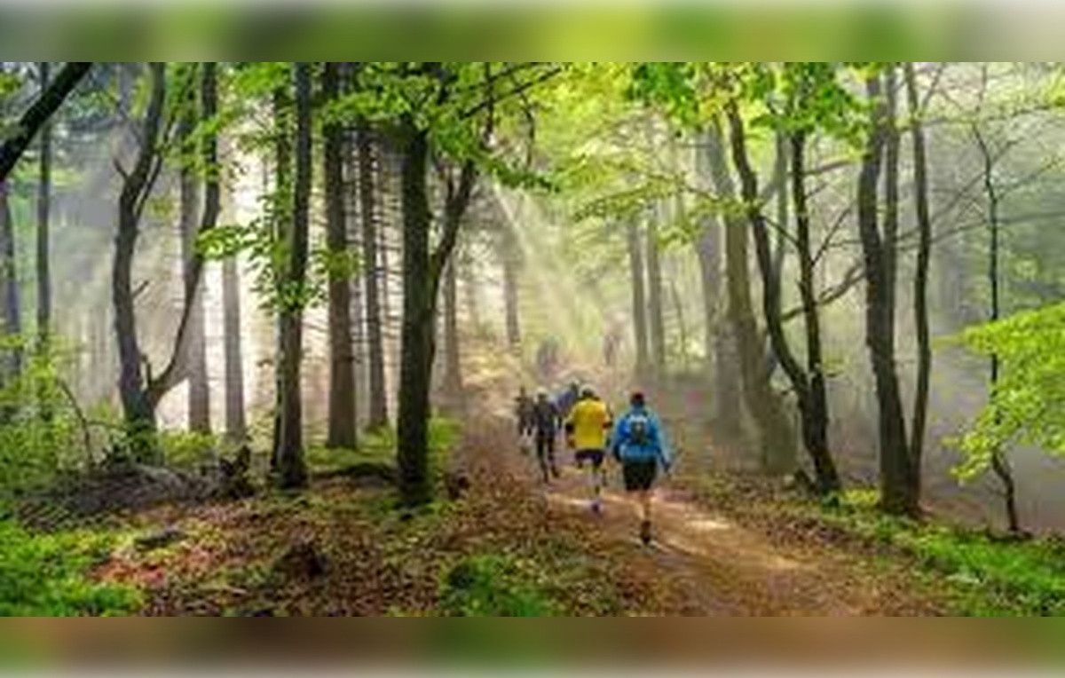 Course Image Gestão do Turismo Ecológico