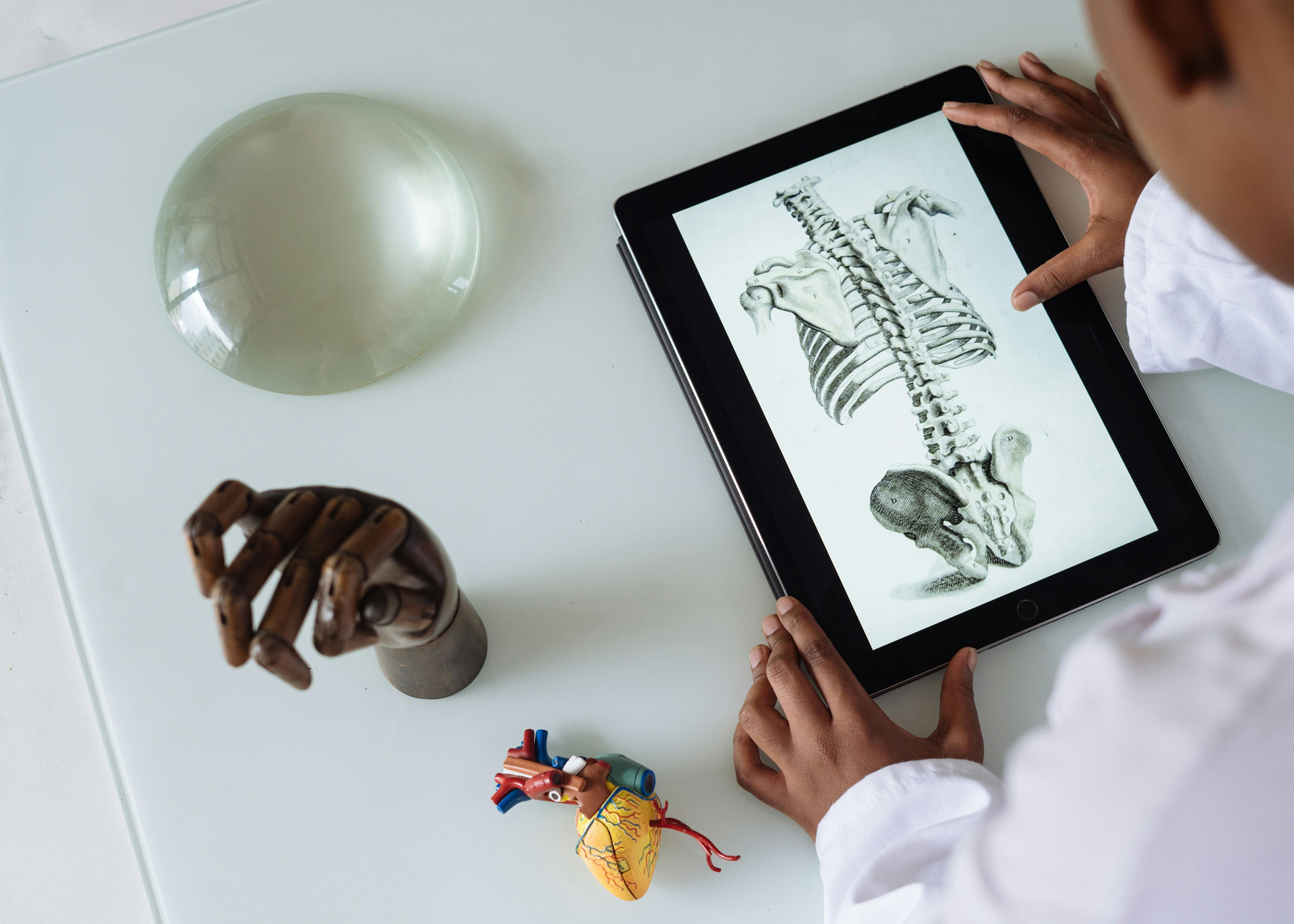 Course Image Anatomia