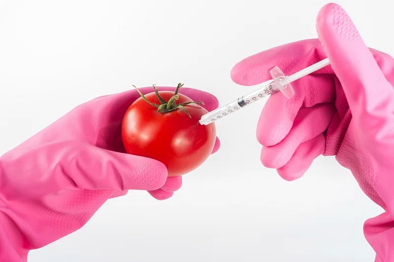 Course Image Tecnologia de Alimentos