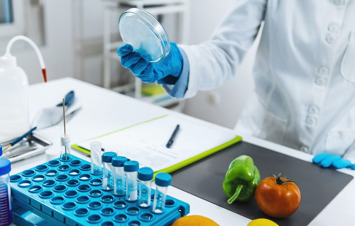 Course Image Qualidade e Higiene de Alimentos