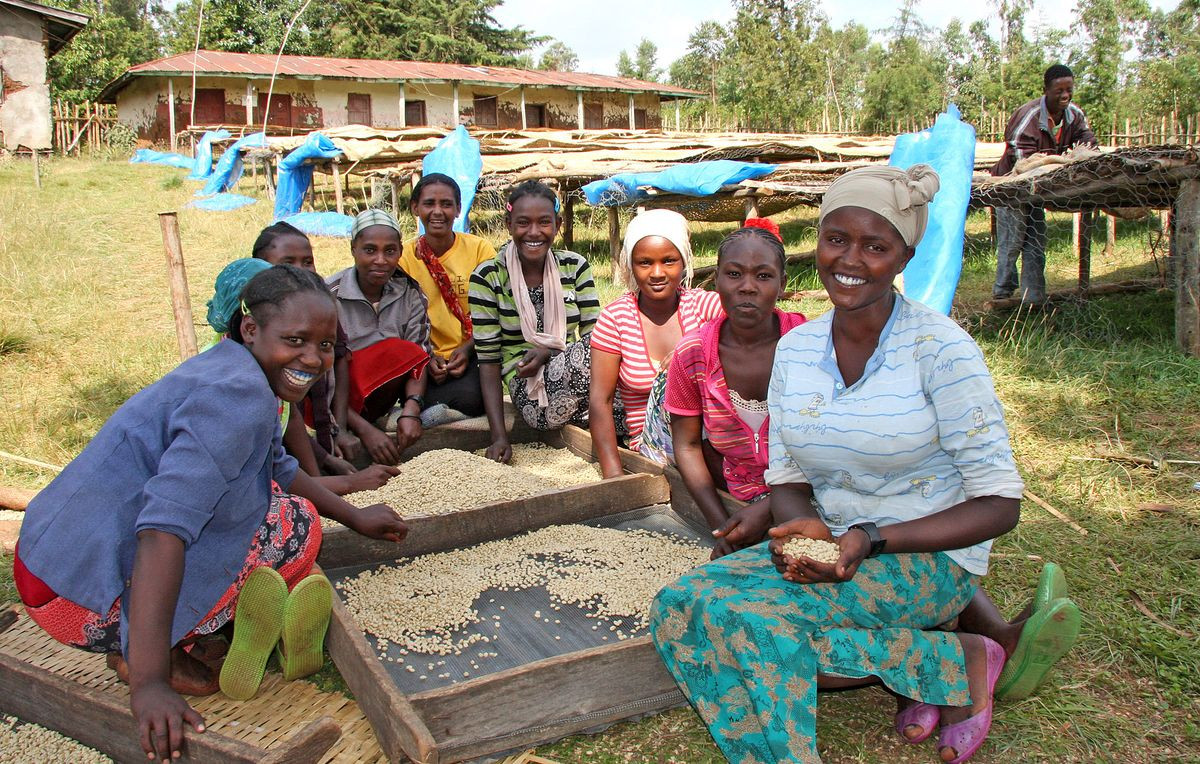 Course Image Sociologia Rural