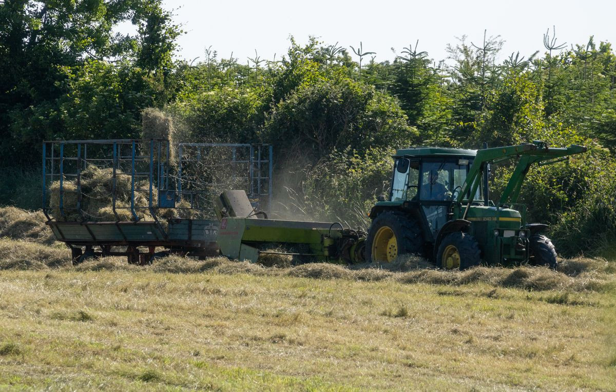 Course Image Análise de Oportunidades de Agronegócios
