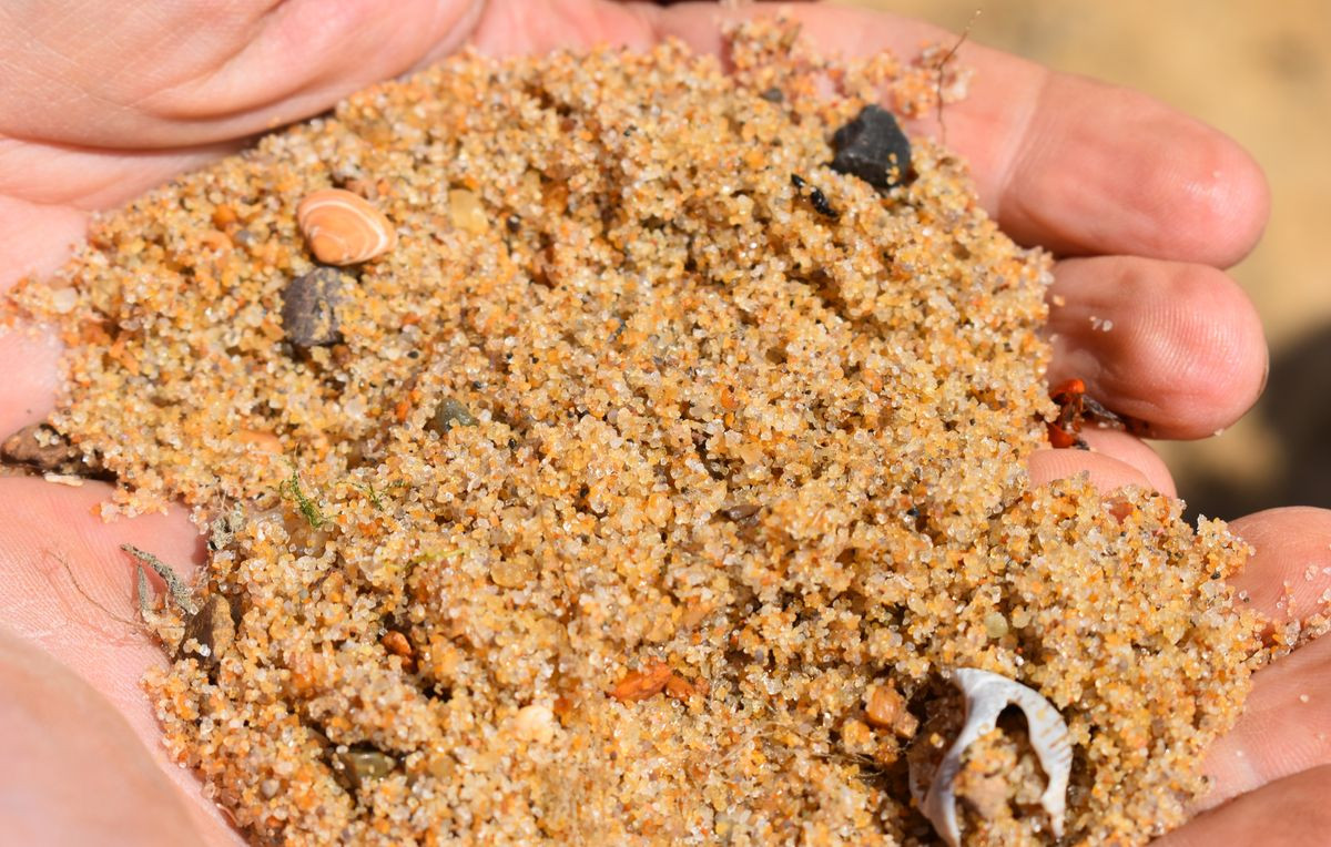 Course Image Pedologia