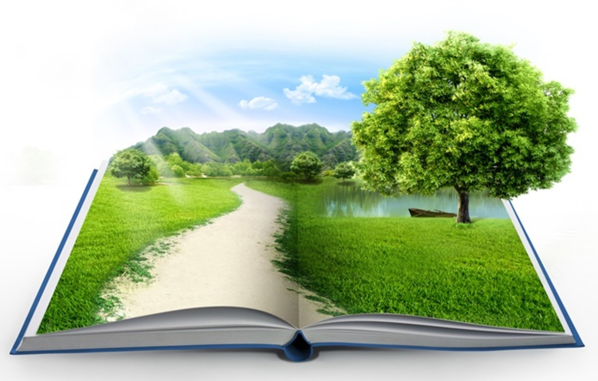 Course Image Educação Ambiental