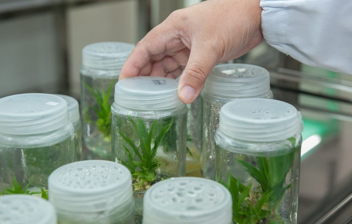 Course Image Biotecnologia Ambiental