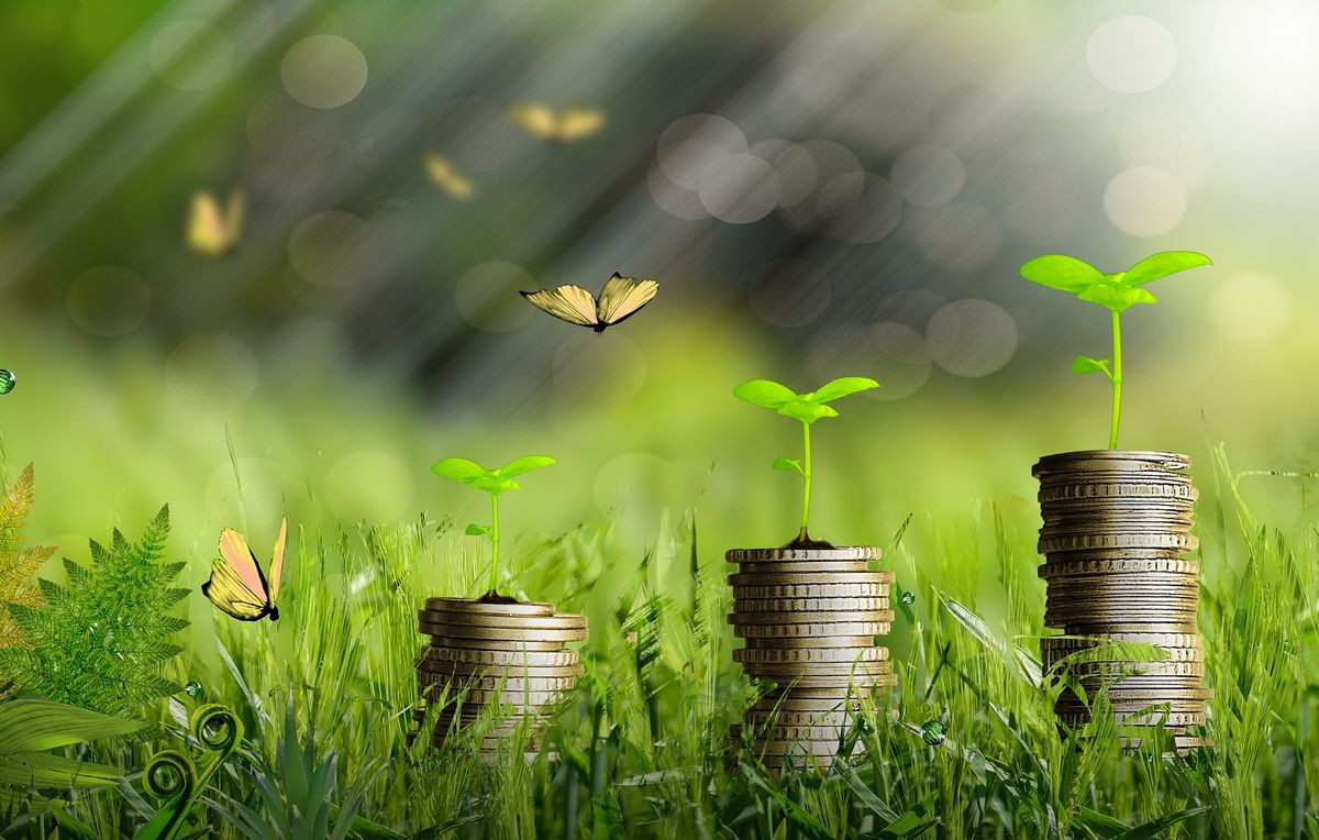 Course Image Economia dos Recursos Naturais