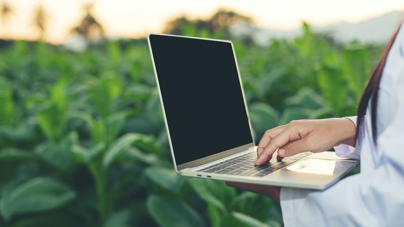 FACULDADE DE ENGENHARIAS E AGRICULTURA (FEA)