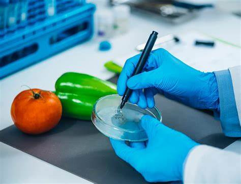 Course Image Higiene e Controlo da Qualidade dos Alimentos I