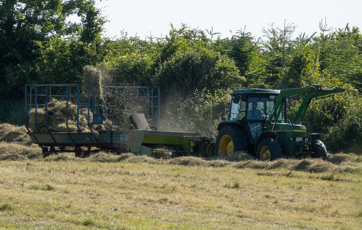 Course Image Gestão do Agronegócio