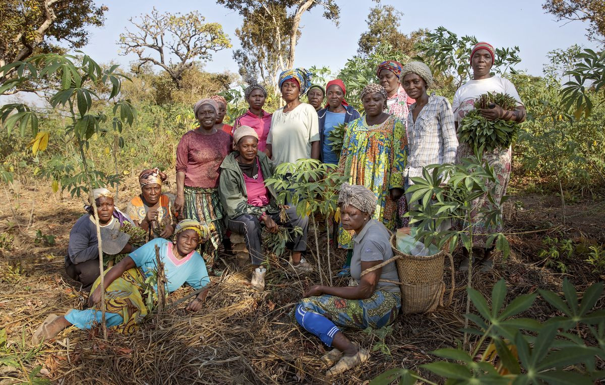 Course Image Economia Agrária de Moçambique